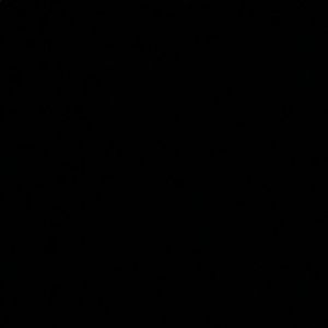 Meet your Posher, Jarius